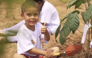 Bosque da Casa da Fonte incentiva crianças a cuidarem do meio ambiente